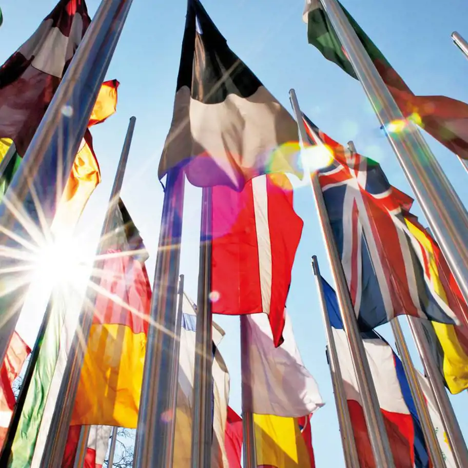 Olika länders flaggor på flaggstänger som står tillsammans i en grupp