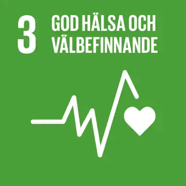 Globalt mål 3: God hälsa och välbefinnande