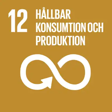 Globalt mål 12: Hållbar konsumtion och produktion