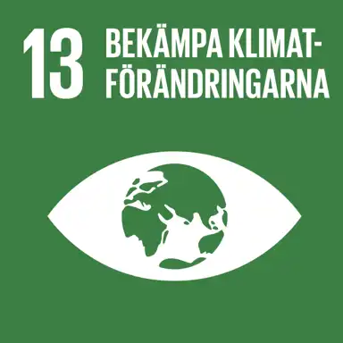 Globalt mål 13: Bekämpa klimatförändringarna
