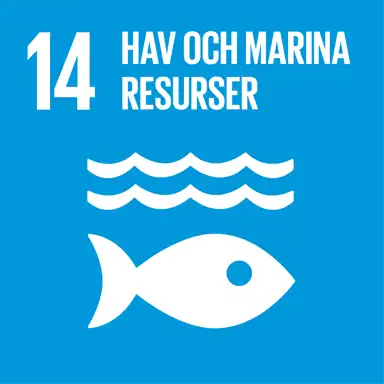 En blå ruta med vit text och en ikon, representerande FN:s globala mål nummer 14: "Hav och marina resurser". Bilden visar en stiliserad fisk under två vågiga linjer, vilket symboliserar vikten av att skydda och bevara världens hav, marina ekosystem och biologisk mångfald.