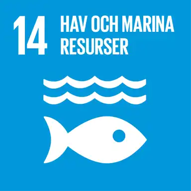 Globalt mål 14: Hav och marina resurser