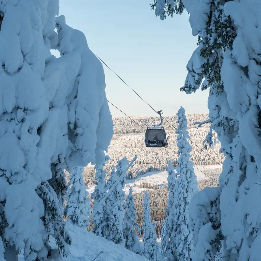 En vintrig landskapsbild med en gondollift som svävar över ett snötäckt skogslandskap. Stora granar i förgrunden är täckta av tjock snö, och i bakgrunden syns ett vidsträckt landskap med skog och öppna fält. Himlen är ljusblå och vädret ser klart ut.