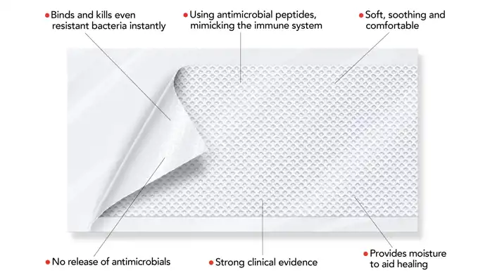 Den här bilden visar en närbild av Amferia Hydrogel Wound Dressing med tydliga förklaringar av dess egenskaper. Förbandet använder antimikrobiella peptider som efterliknar immunsystemet och kan binda och döda även antibiotikaresistenta bakterier omedelbart. Det är mjukt, lugnande och bekvämt, samtidigt som det inte släpper ut några antimikrobiella ämnen, vilket minskar risken för resistensutveckling. Produkten har starka kliniska bevis och tillför fukt för att underlätta sårläkning. Den här tekniken kan vara ett viktigt steg framåt inom infektionskontroll och avancerad sårvård.