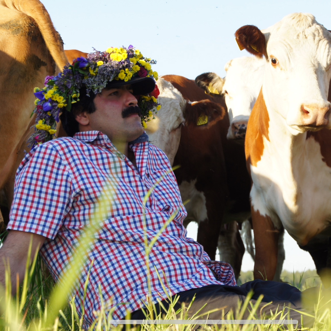 En man klädd i en rutig skjorta som sitter i en äng omgiven av kor. Han bär en blomsterkrans på huvudet, fylld med färgglada blommor i gult, lila, blått och rött. Hans uttryck är lugnt och reflekterande när han lutar sig tillbaka i gräset, medan korna står nära honom, några nyfikna och andra fokuserade åt olika håll. Ljuset och färgerna ger en somrig och idyllisk känsla.