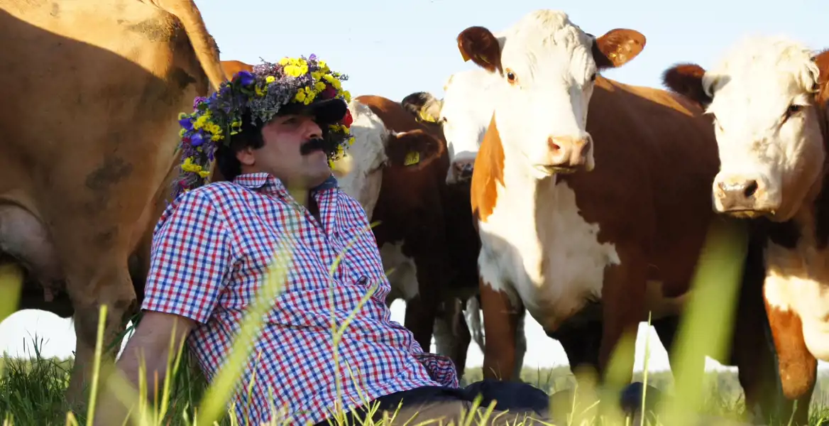 En man klädd i en rutig skjorta som sitter i en äng omgiven av kor. Han bär en blomsterkrans på huvudet, fylld med färgglada blommor i gult, lila, blått och rött. Hans uttryck är lugnt och reflekterande när han lutar sig tillbaka i gräset, medan korna står nära honom, några nyfikna och andra fokuserade åt olika håll. Ljuset och färgerna ger en somrig och idyllisk känsla.