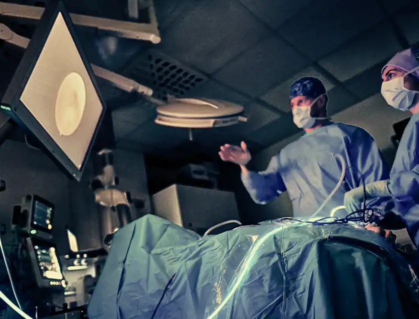 Kirurger i operationssal genomför en titthålsoperation. En kirurg pekar mot en bildskärm som visar en inre bild från djurpatienten, medan en annan kirurg arbetar med instrument. Operationssalen är svagt upplyst med fokus på det medicinska arbetet.