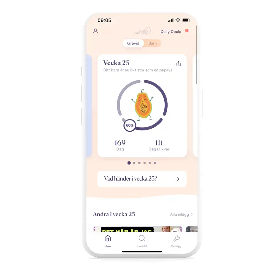 En smartphone-skärm visar en graviditetsapp med en ljus och vänlig design. Appen indikerar att användaren är i vecka 25 av graviditeten och att fostret är lika stort som en papaya. En grafisk cirkel visar 60 % av graviditeten är avklarad, med 169 dagar gångna och 111 dagar kvar. Det finns en knapp med texten "Vad händer i vecka 25?" och längre ner en sektion med inlägg från andra som är i samma vecka. Navigationsmenyn längst ner har ikoner för hem, innehåll och verktyg.