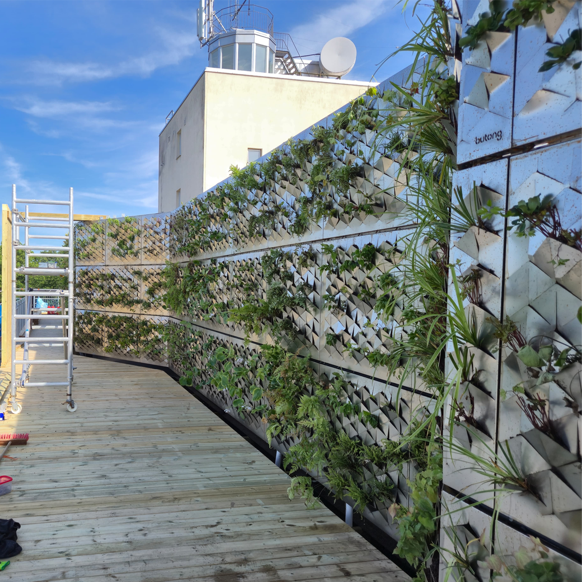 Butongs gröna fasad med växtpaneler monterade längs en böjd yttervägg på en takterrass, med trätrall och byggnad i bakgrunden.