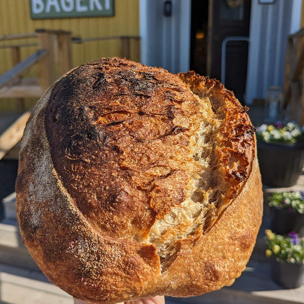 En hand håller upp ett nybakat, runt bröd med mörk, knaprig skorpa framför en gul byggnad med skylten ‘Bageri’ ovanför ingången.