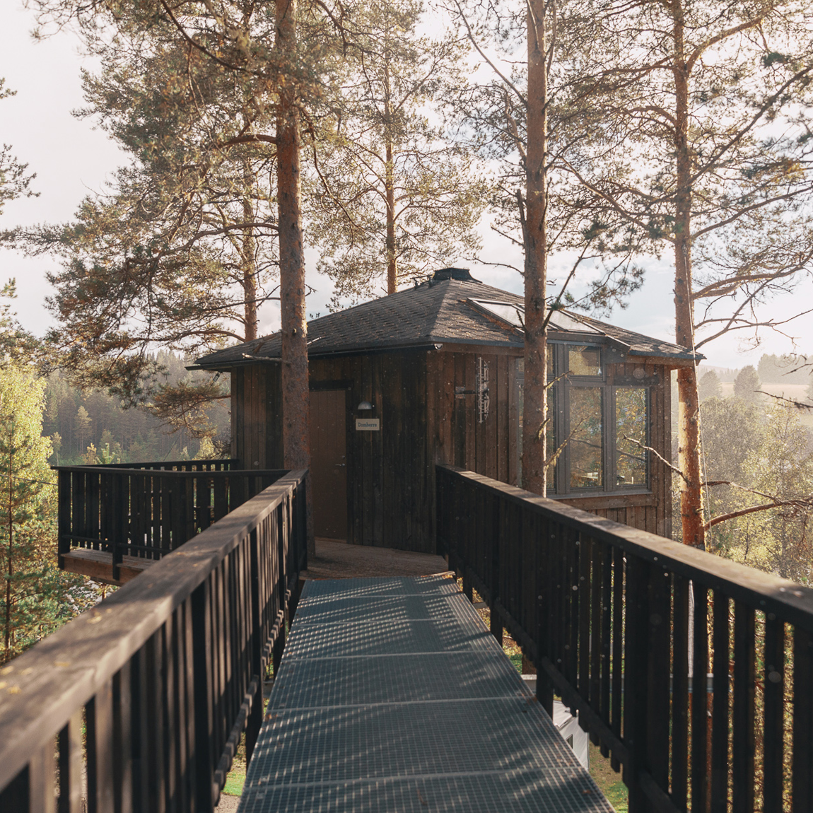 En träbyggd stuga från Granö Beckasin som står upphöjd bland tallarna, nås via en lång ramp med svart räcke. Morgonljus filtreras genom skogen och skapar ett lugnt, naturnära intryck.