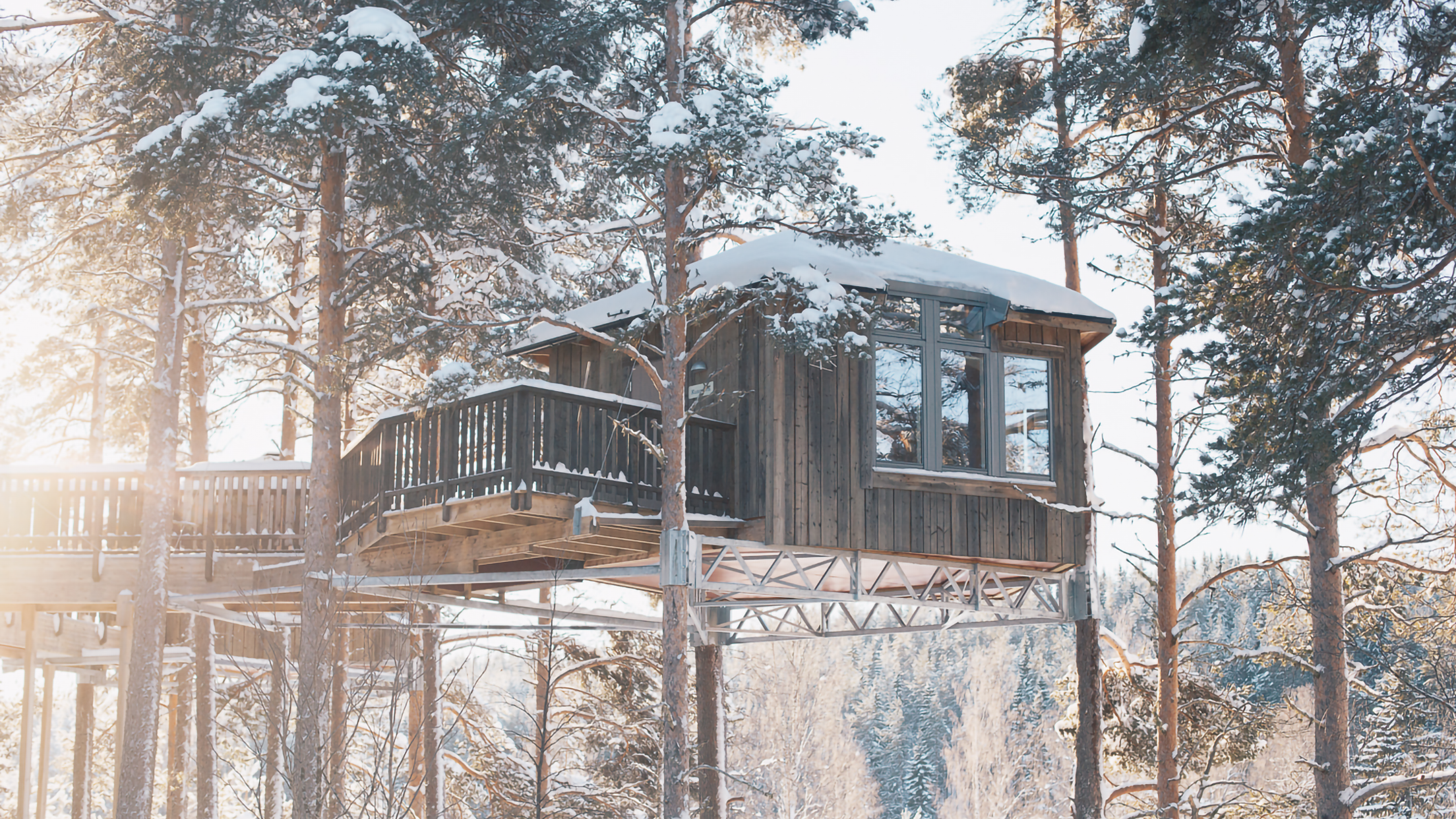 En träbyggd stuga från Granö Beckasin står upphöjd på metallstativ bland snötäckta tallar. Ljus från vintersolen faller genom skogen och ger ett varmt sken mot den frostiga omgivningen.