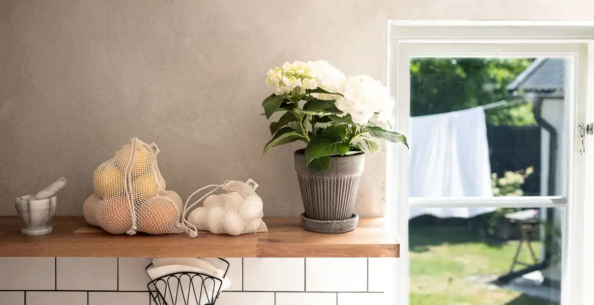 OMOMs påsar med citroner och vitlök på en köksbänk av trä.