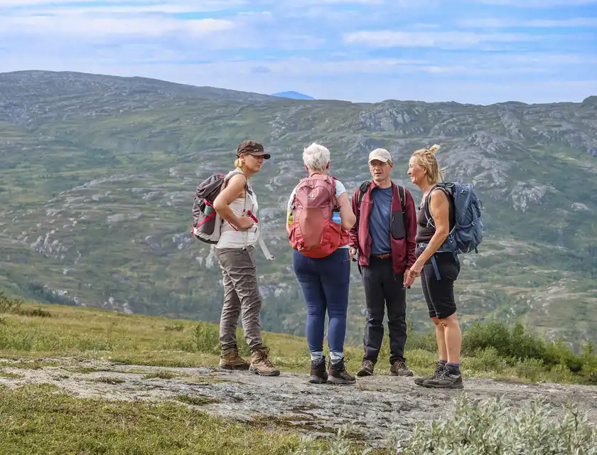 Fyra personer står på en fjällsluttning med ryggsäckar och vandringskläder, omgivna av grönklädda berg under en klarblå himmel. De samtalar med varandra och ser avslappnade ut, vilket tyder på att de är ute på en gemensam vandringstur i naturen.