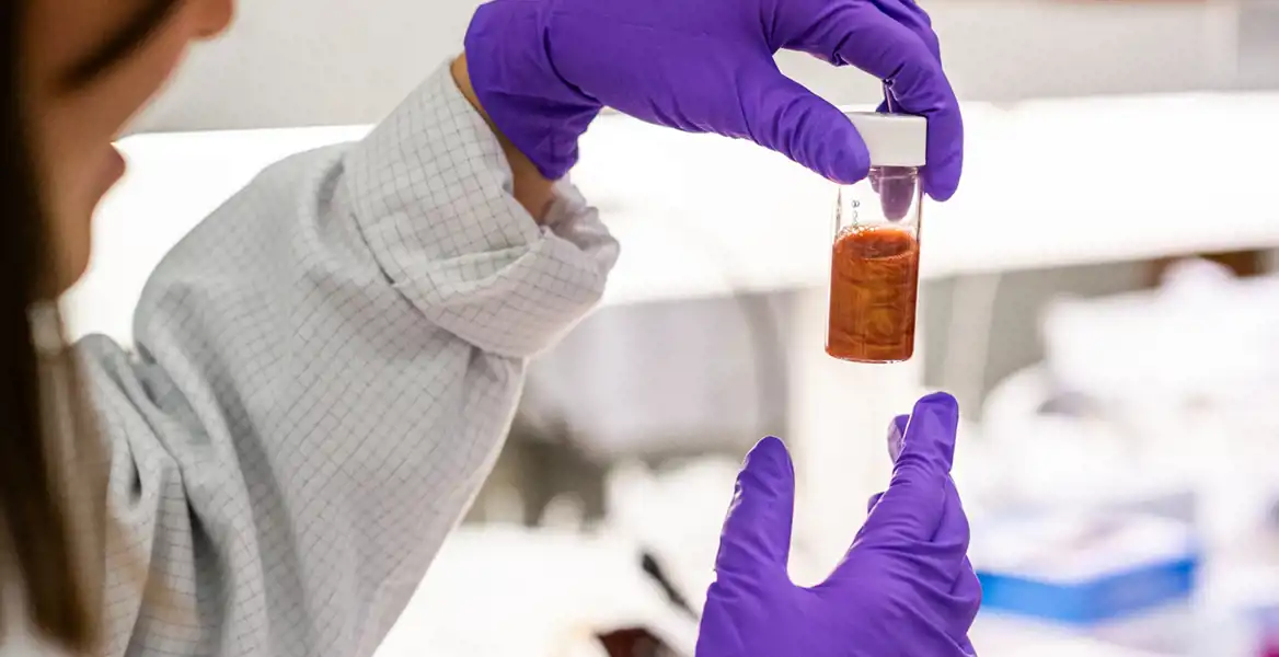 En person i vit laboratorierock och lila engångshandskar håller upp ett provrör med rödbrunt innehåll i ett laboratorium. I bakgrunden syns hyllor med laboratorieutrustning i oskärpa.