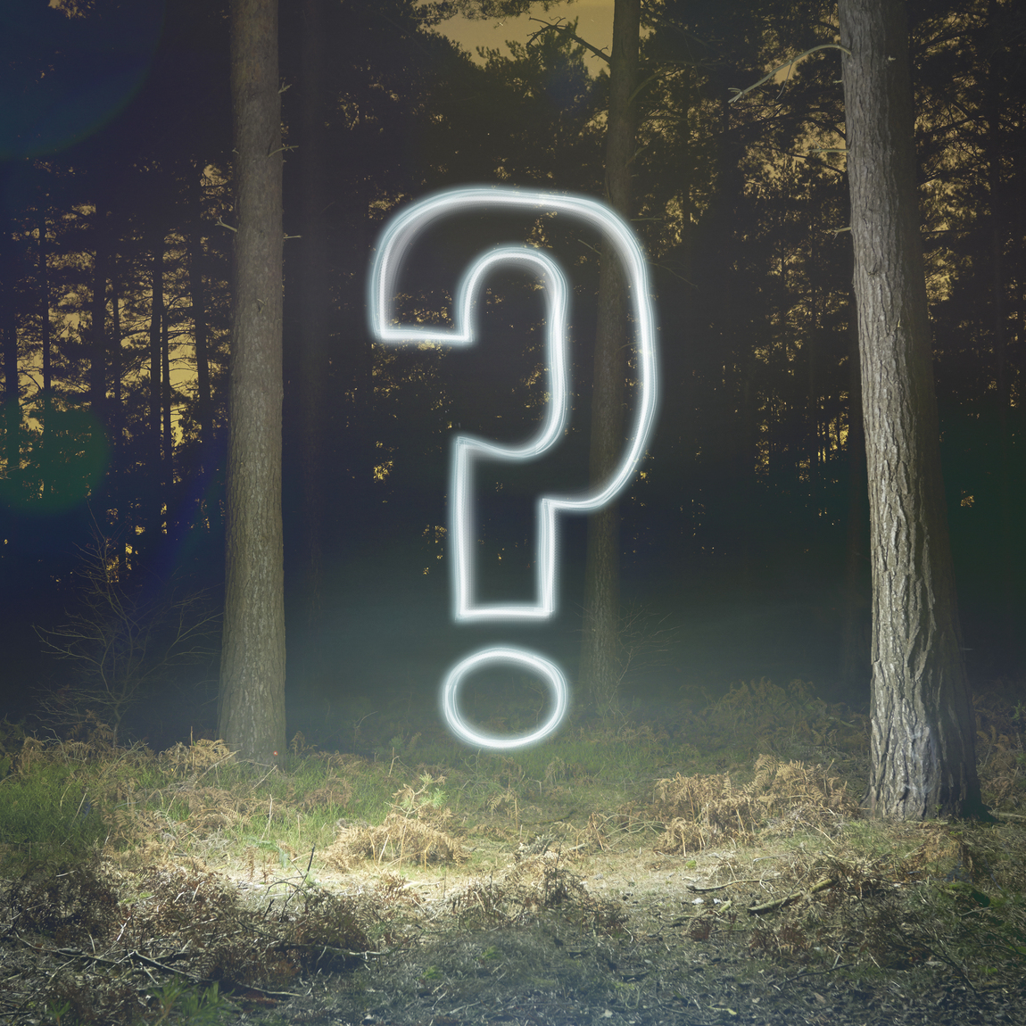 Ett stort, lysande frågetecken svävar mitt i en mörk skog med höga träd, vilket skapar en mystisk och gåtfull stämning.
