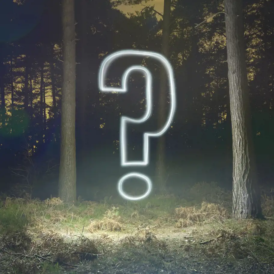 Ett stort, lysande frågetecken svävar mitt i en mörk skog med höga träd, vilket skapar en mystisk och gåtfull stämning.