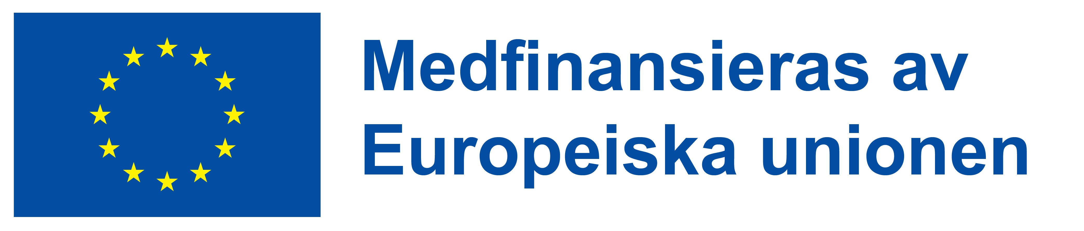 Logotyp för medfinansiering av Europeiska unionen,
