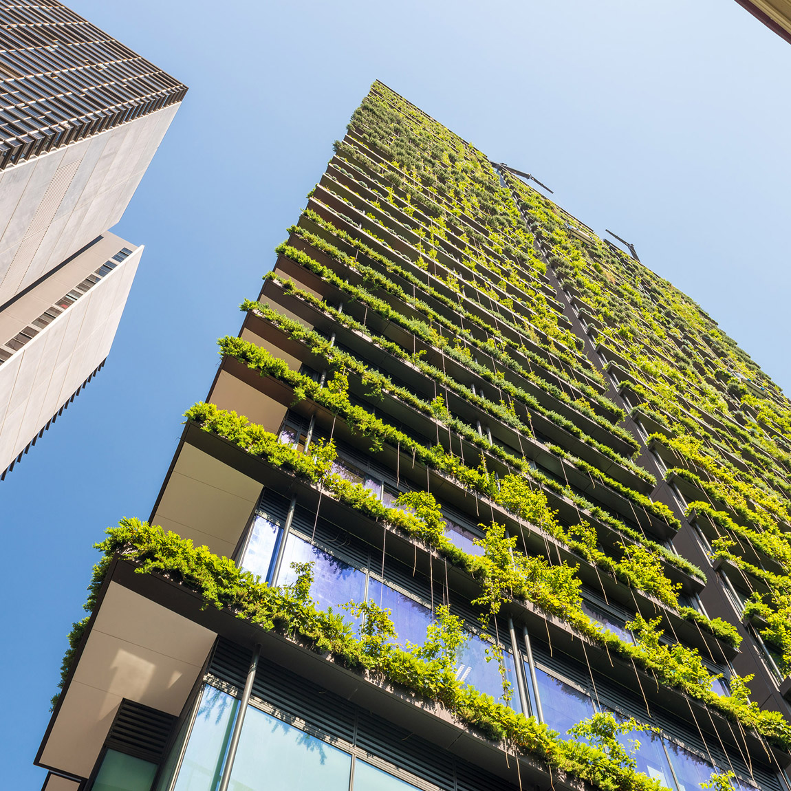 En modern skyskrapa med vertikala trädgårdar där gröna växter täcker fasaden. Byggnaden symboliserar hållbar arkitektur och miljövänligt stadsbyggande.