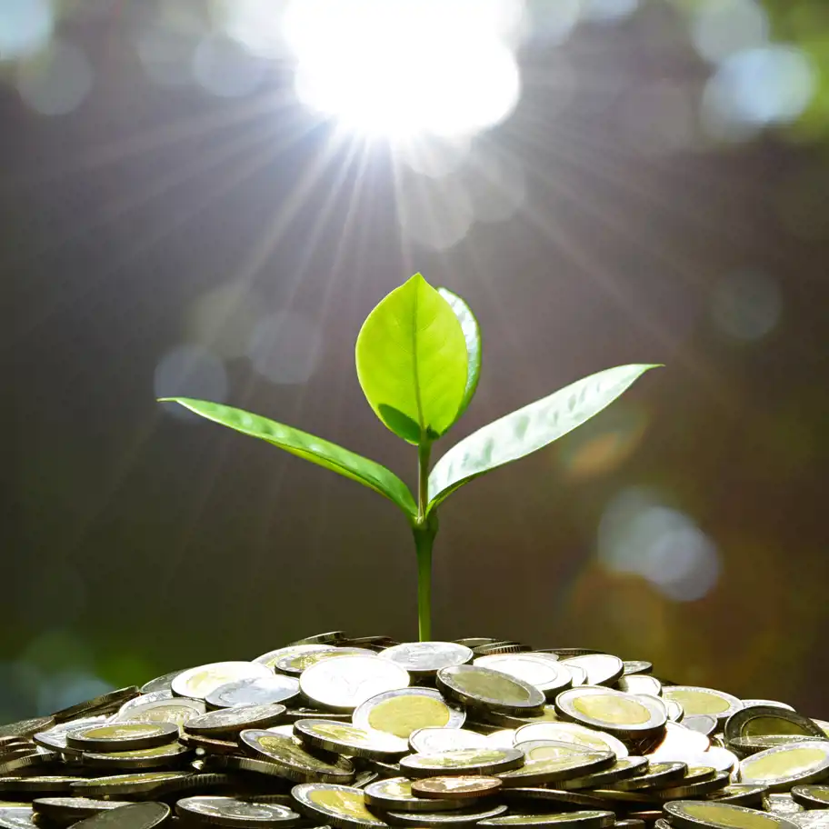 En grön planta med tre blad växer upp från en hög av mynt, medan solens strålar lyser ner genom en suddig bakgrund av grönska. Bilden symboliserar hållbar tillväxt, investeringar och ekonomisk utveckling i harmoni med naturen.