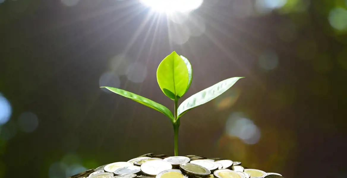 En grön planta med tre blad växer upp från en hög av mynt, medan solens strålar lyser ner genom en suddig bakgrund av grönska. Bilden symboliserar hållbar tillväxt, investeringar och ekonomisk utveckling i harmoni med naturen.