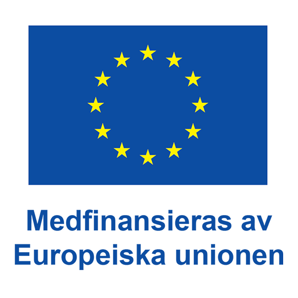 Projektet finansieras av Svenska ESF-rådet genom Europeiska socialfonden samt av Almi Norra Mellansverige.