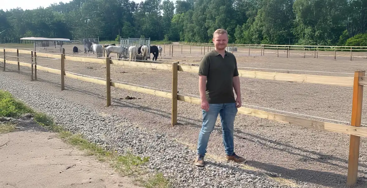 Man utanför hage med hästar