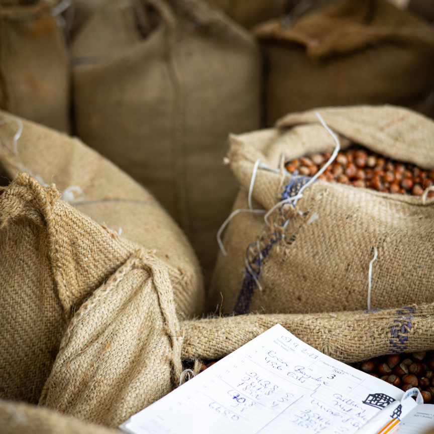 Bild på jutesäckar med hasselnötter, samt ett anteckningsblock