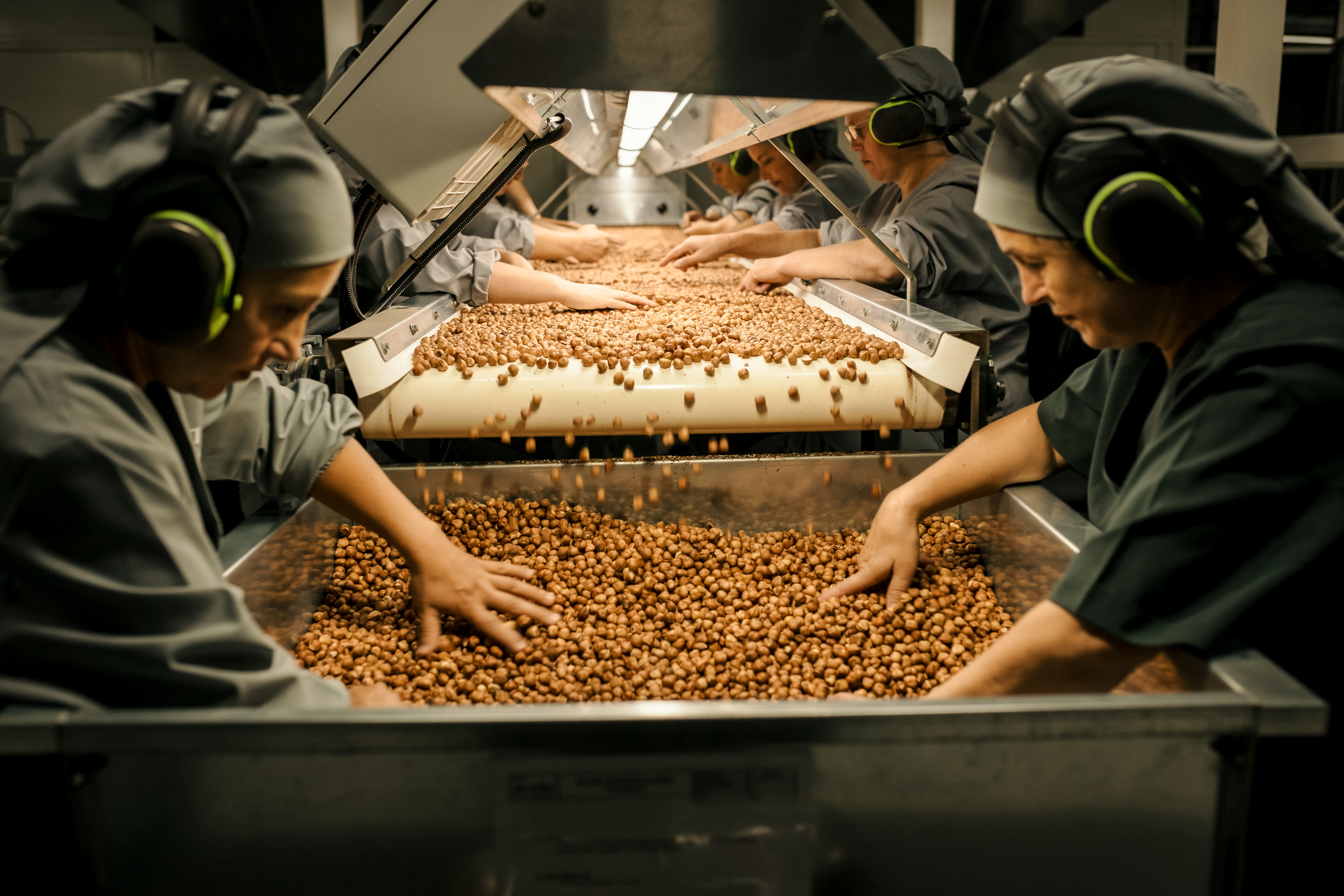 Avella hasselnötsfabrik, kvinnor som sorterar nötter inne på fabrik