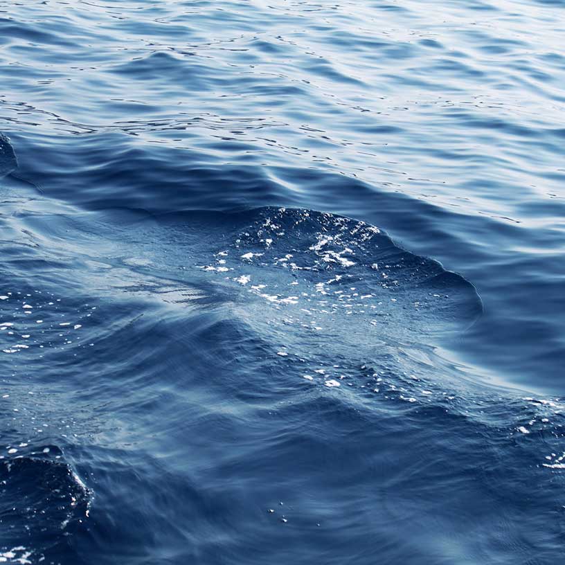 Stockholm Water