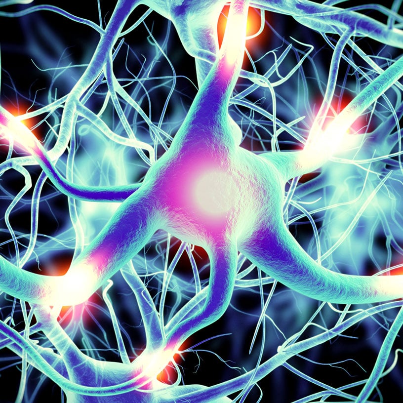 Umecrine Cognition